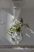 Due Cuori e una Casetta - B&B Locorotondo