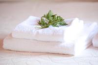 Studio mit Gartenblick (2 Erwachsene)