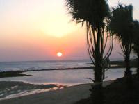 Finca Malyma with 2 villas and 1 apartment, beach front 10,000m2 botanic garden - B&B Zahora