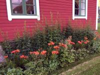 Overvoll Farm - Ferienwohnung Stranda