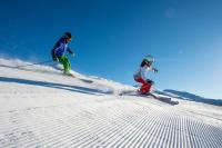 Apartamento de 2 dormitorios