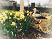 Chambre Triple avec Terrasse
