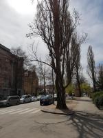 Apartamento de 2 dormitorios con aparcamiento gratuito