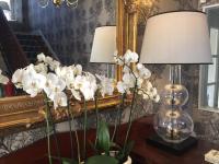 Eenpersoonskamer met Douche