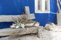 Blachi Koko Apartments - B&B Kralendijk