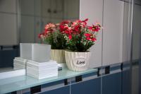 Apartman Dijana - B&B Cattaro