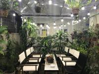Queen Studio