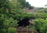 Gentilini Retreat - B&B