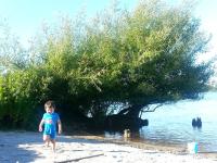 Koutu Beach Bed and Breakfast - B&B