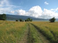 Guest house in Nikortsminda Racha - B&B Nik’orts’minda