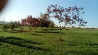 Gite de Marcureau - B&B