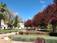 El rincón de Orive - Bed and Breakfast Córdoba