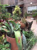 Sunninghill Sojourn - B&B