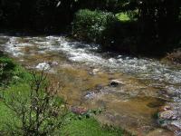 Pousada Verde Novo - B&B Visconde de Mauá