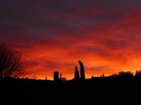 Les Trois Oliviers - B&B Forcalquier