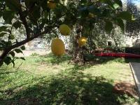 Casetta al Mare - B&B