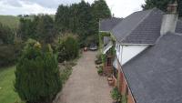 Pinewood Lodge Guest House - Bed and Breakfast Omagh