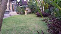 Murdhasari - B&B