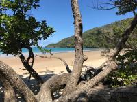 Daintree Magic Holiday House - Chambres d’hôtes
