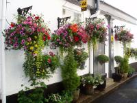 Cherubs Nest - B&B Dartmouth