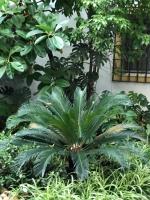 Apartamento las doblas , parking gratis - Ferienwohnung Córdoba