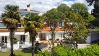 Corte dei merli Apartments - B&B
