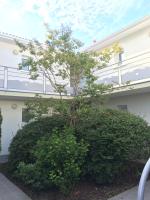 Apartment Cap Meyran - Chambres d’hôtes Gujan-Mestras