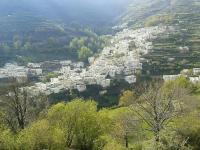 Apartamentos Casa FERMINA - A 2 horas de las pistas de esquí - B&B Trevélez