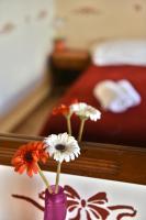 Guesthouse Corali - Ferienwohnung Ýdra