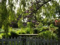 Willow Cottage - B&B Bognor Regis