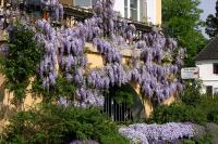 Villa Linke am Bodensee - B&B