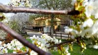 Agriturismo Aria Fina - Chambres d’hôtes Mormanno