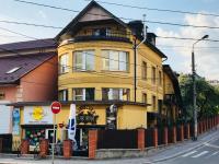 Villa L'vovskaia - Ferienwohnung Truskawez