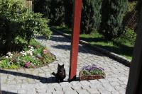 Pokój Kameralny z oddzielnym wejsciem- blisko PKP - Chambres d'hôtes Karpacz