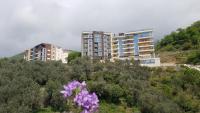 Apartments Bel&Rus Hestia - B&B Budua