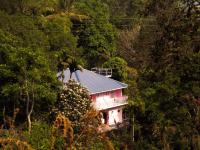 Drizzle Valley Cottage - Chambres d'hôtes Munnar