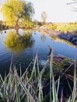 Apartament u Beti - Chambres d’hôtes Opole