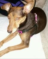 Quarto Individual ou Duplo ao lado da Ponte Transamerica - Chambres d’hôtes São Paulo