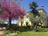 Agriturismo Villa Vetiche - B&B