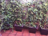 Bonito piso centro de Los Boliches - B&B Fuengirola