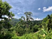 Mount shadows - B&B Ella Town