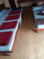 8-Bed Mixed Dormitory Room