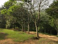 Pousada Alto do Morro - B&B Monteiro Lobato