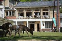 Mountain Home Lodge in Deer Park - B&B Nara