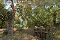 Mikroulis Residence - B&B Mastorátika