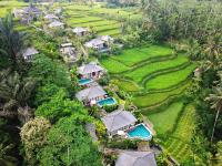 B&B Tegalalang - Nau Villa Ubud - Bed and Breakfast Tegalalang