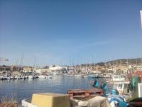 Ethan - B&B La Ciotat