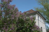 Altes Schulhaus - Ferienwohnung