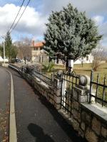 Apartment Luce - B&B Pićan