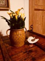Appartement (4 Volwassenen)
